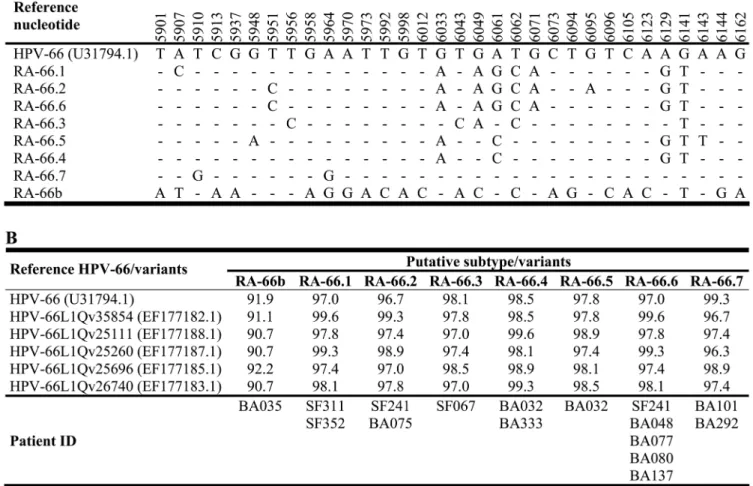 Fig. 3. Genomic diversity of the novel HPV-66 putative subtype and variants