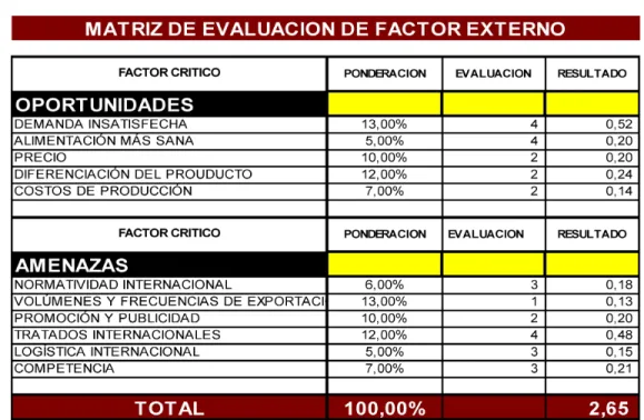 Tabla 9. Matriz de evaluación de factor externo