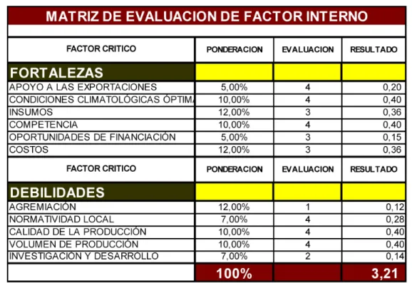 Tabla 10. Matriz de evaluación de factor interno