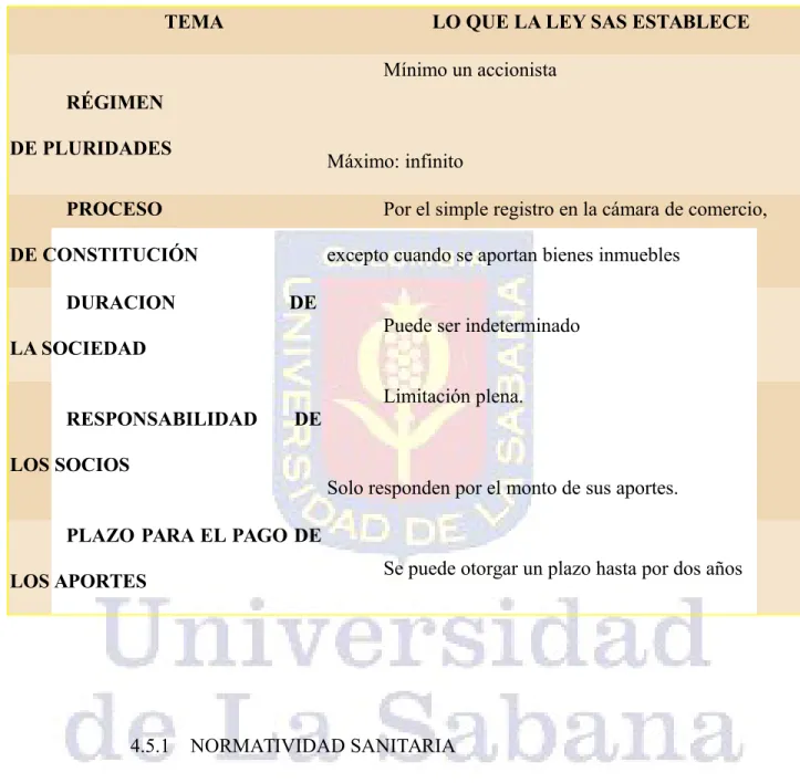 Tabla 13. Generalidades de la SAS.