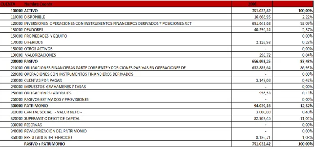 Tabla 1.16. Estructura del Balance 2008 