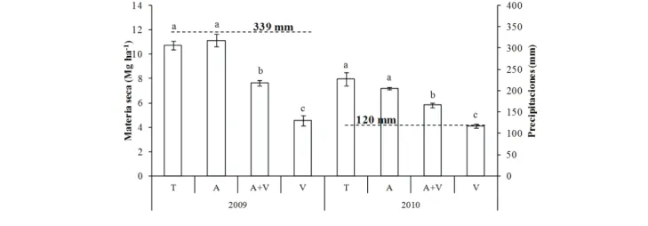 Figura 1: Producción de materia seca de los cultivos de cobertura y precipitaciones en el ciclo