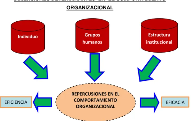 Gráfico N° 02: