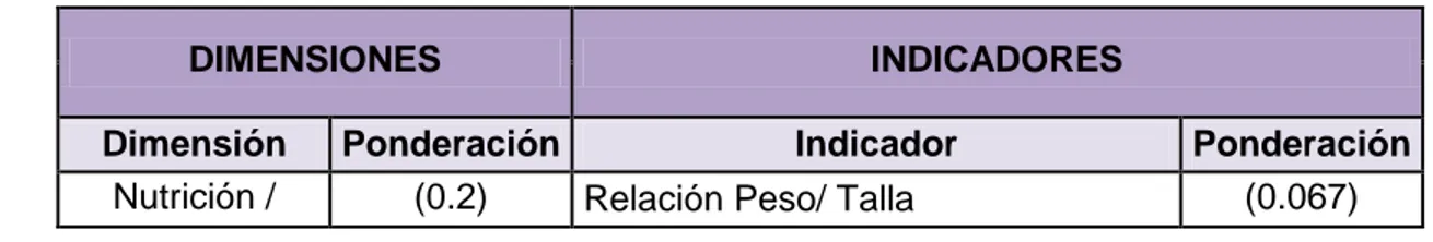 Cuadro III: Ponderación de Indicadores y Dimensiones 