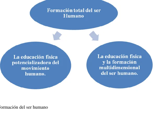 Figura 4 Formación del ser humano  