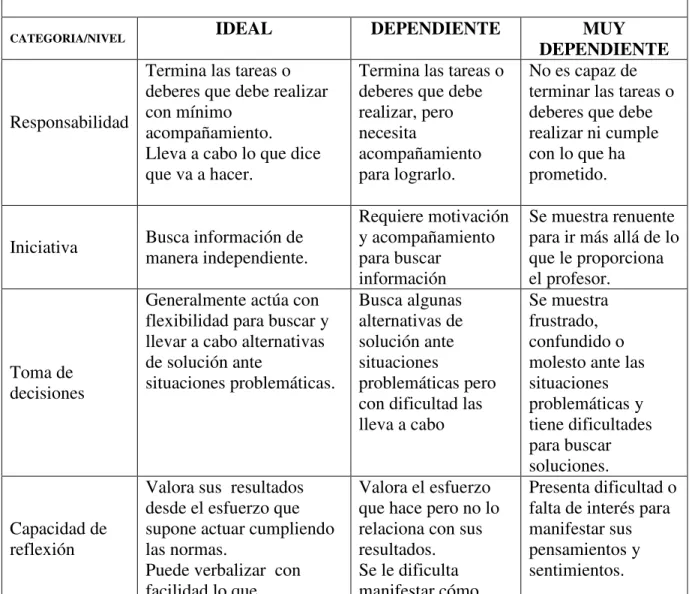 Tabla 1: Matriz de valoración. 