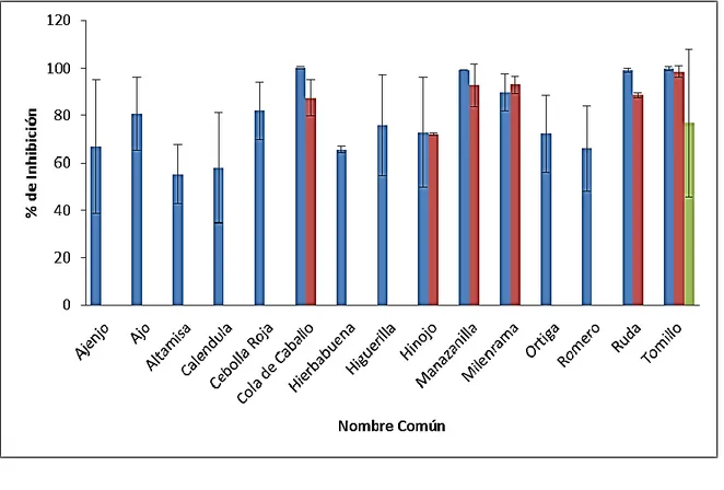 Figura  6. Porcentaje de inhibición de aceites esenciales de especies vegetales contra los  hongos P