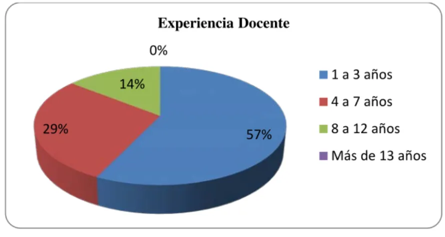 Figura 7. Experiencia docente. 