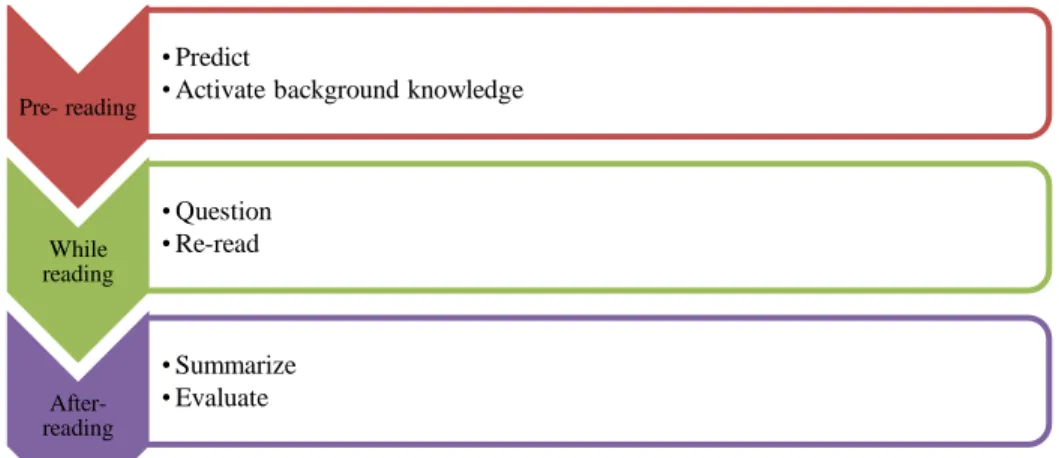 Figure  2.  Stages in reading comprehension process. 