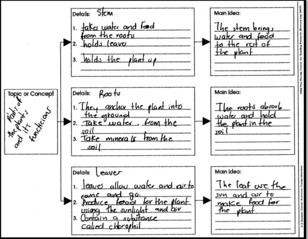 Figure 6.  Example of a GO completed by a student after reading. 