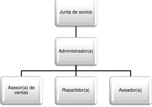 Figura 1. Estructura organizacional. 