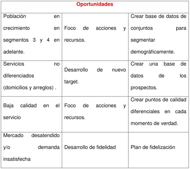 Cuadro N° 5: Matriz DOFA del Proyecto 