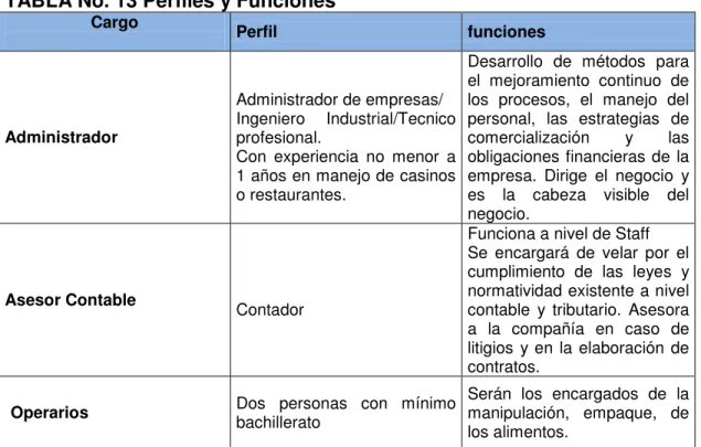 TABLA No. 13 Perfiles y Funciones 