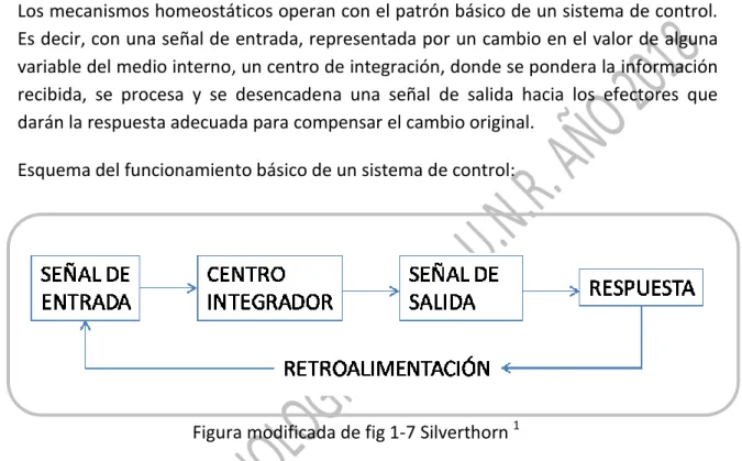 Figura modificada de fig 1-7 Silverthorn  1