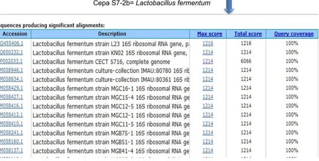 Figura 3. Análisis bioinformático para la identificación molecular de la cepa S7-2b 