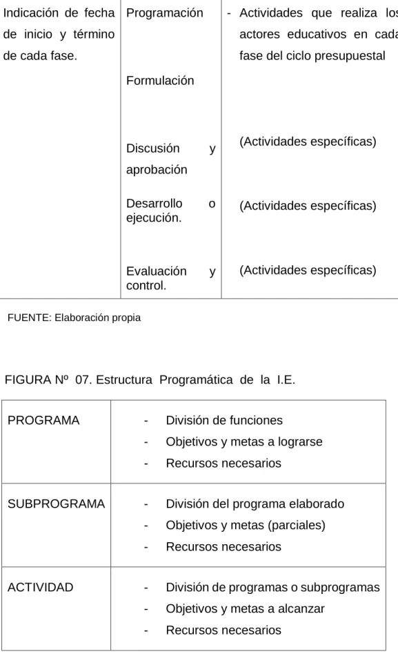 FIGURA Nº  07. Estructura  Programática  de  la  I.E. 