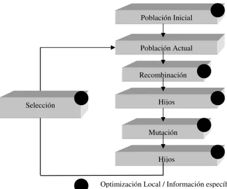Figura  4. Estructura de un algoritmo memético 