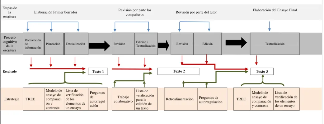 Tabla 13. Esquema de Implementación de la estrategia SRSD en Nivel 6 del Plan Umbrella 