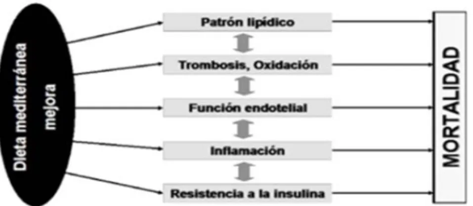 GRÁFICO 2. EFECTOS DE LA DIETA MEDITERRANEA 