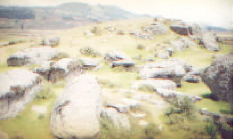 Foto No. 7