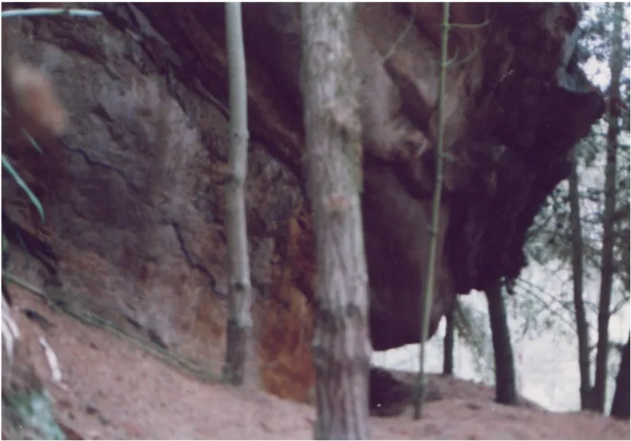 Foto No. 10