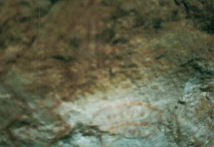 Foto No. 13