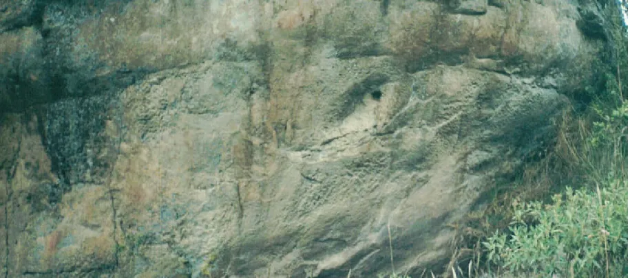 Foto No. 17