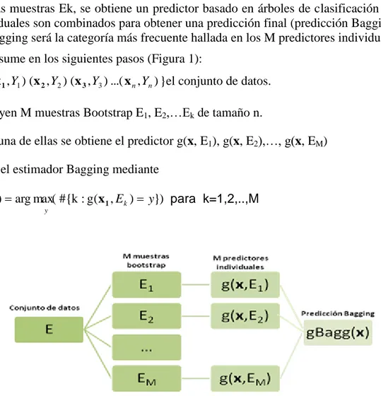 Figura 1: Esquema del algoritmo de clasificación Bagging 