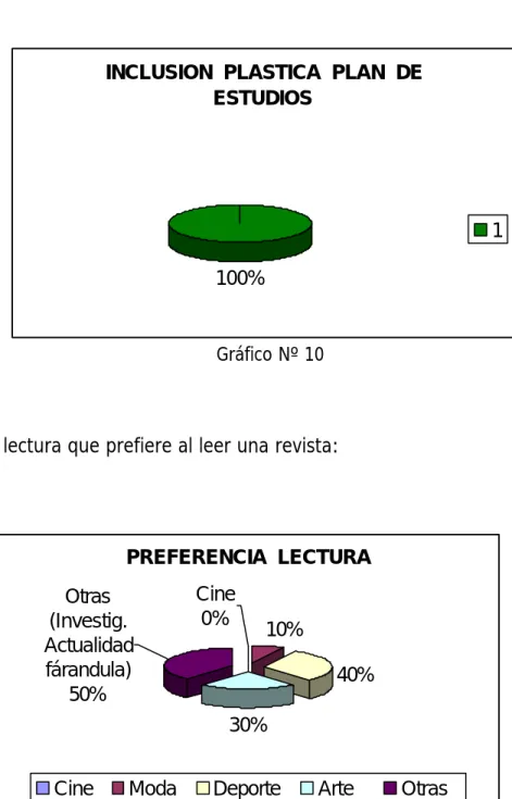 Gráfico Nº 10