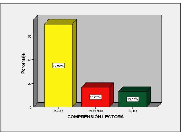 GRÁFICO N° 01 