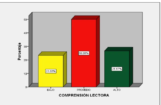 GRÁFICO N° 06 