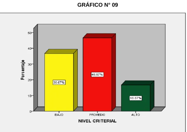 GRÁFICO N° 09 