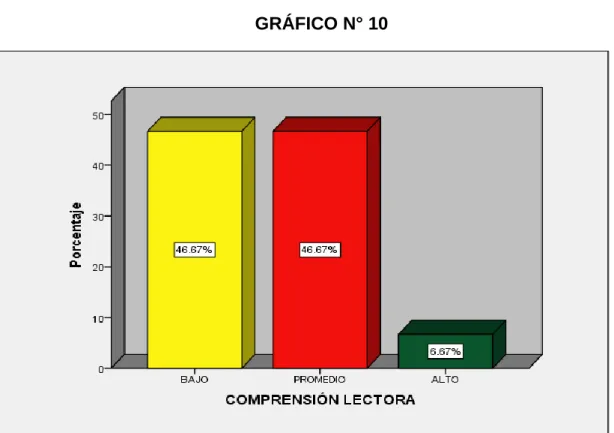 GRÁFICO N° 10 