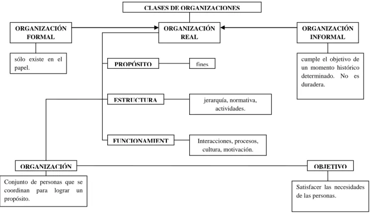 Figura 3. Clases de organizaciones 