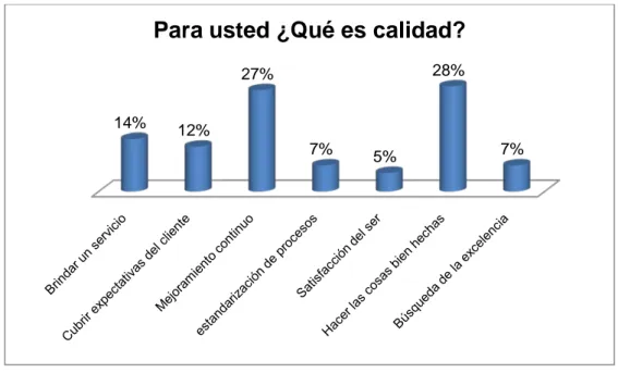 Figura 13.Concepto de calidad 