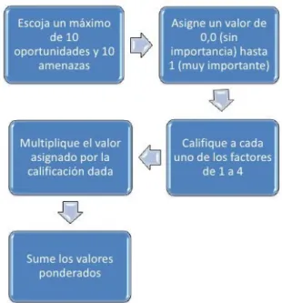Ilustración 7 Desarrollo matriz EFE 