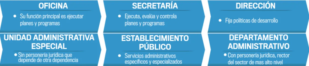 Figura 8. Pasos para la creación de la dependencia de Gestión del Riesgo