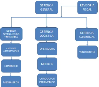 Figura No 7: organigrama Autoruedas  Responsabilidades de las áreas 