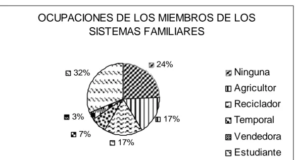 Figura 2. Diagrama circular en porcentaje de las ocupaciones de los miembros de los  sistemas familiares de las 4 familias estudiadas en el municipio de Cajicá cundinamarca