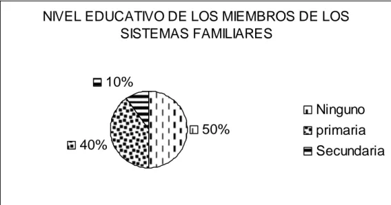 Figura 4. Diagrama circular en porcentaje del nivel educativo de los miembros de los  sistemas familiares de las 4 familias estudiadas en el municipio de Cajicá Cundinamarca