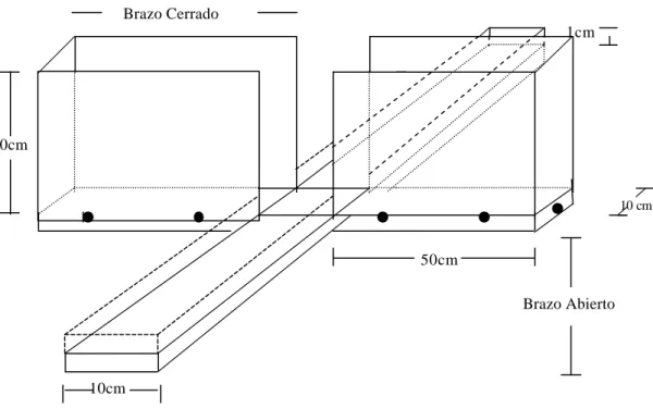 Figura 1.   Esquema del Laberinto en Cruz Elevado.  