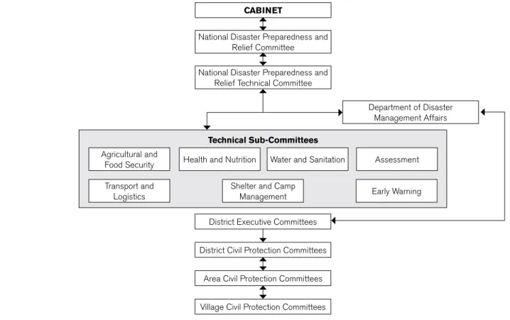 Figure 3: national DrM institutional Structure  (Source: DoDMA – 2010)