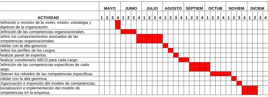 Cuadro 6. Cronograma 