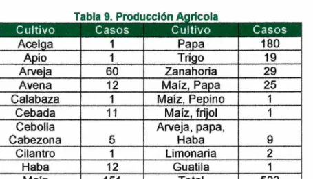 Tabla 9. Producción Agrícola 