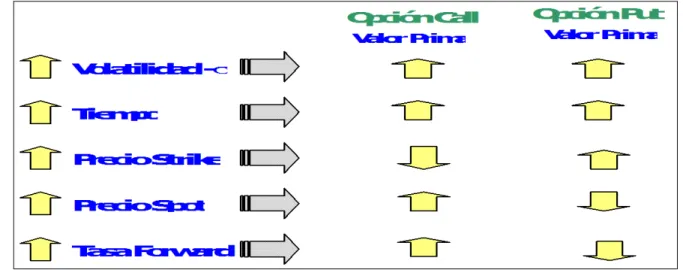 Ilustración 8.  Resumen variables que determinan el precio de opción o prima 