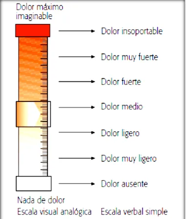 Figura 2.Escala Visual Análoga 