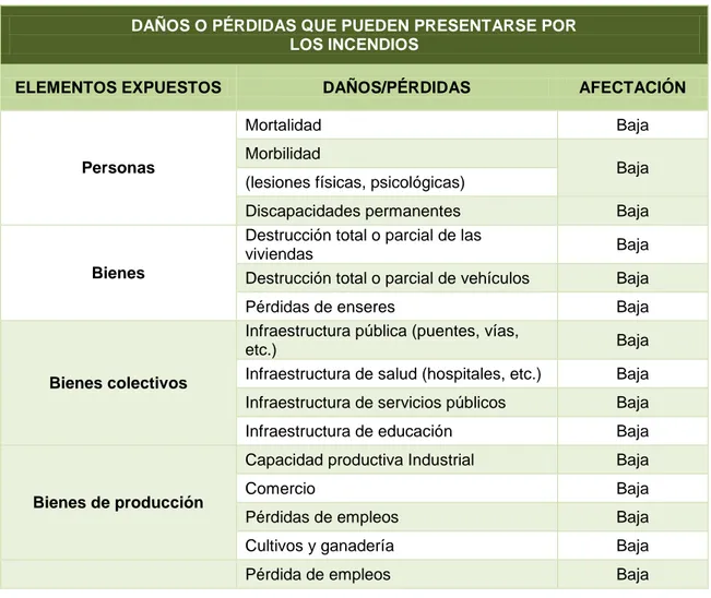 Tabla 13. Daños o pérdidas en bienes ambientales por incendios 