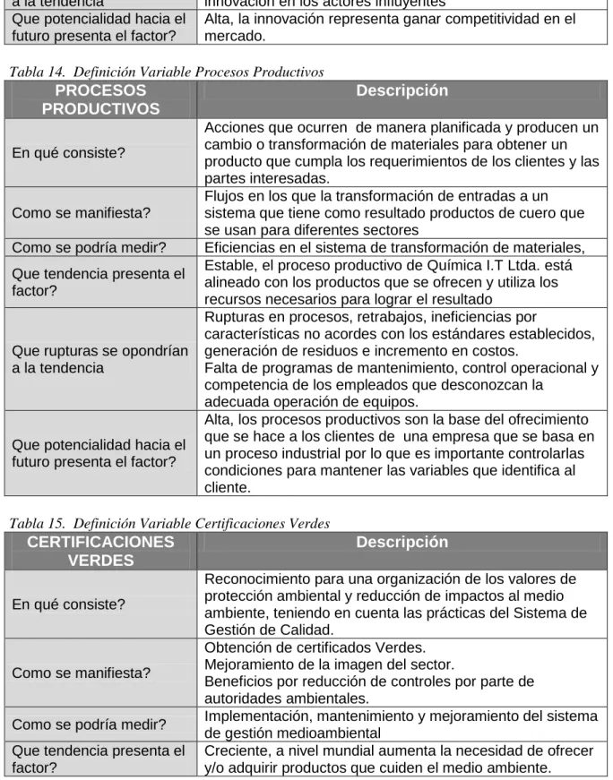 Tabla 14.  Definición Variable Procesos Productivos  PROCESOS 