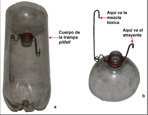 Figura 3. Trampa pitfall modificada. Se muestra (a) la trampa armada (sin atrayente ni  mezcla tóxica) y (b) la posición del atrayente y la mezcla tóxica