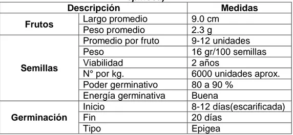 Tabla 04 Características de los frutos y la semilla de la tara (Caesalpinia  spinosa) 